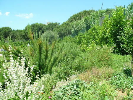 22_giardino_aiuola
