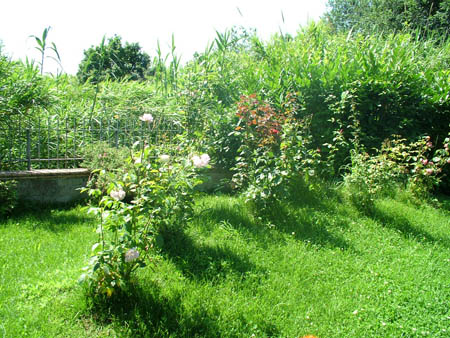 25_giardino_rose