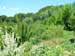 22_giardino_aiuola
