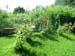 25_giardino_rose