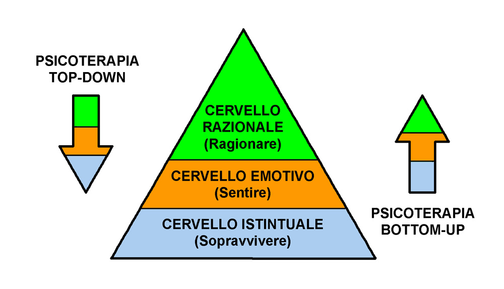 Psicoterapia Top-down e Bottom-up